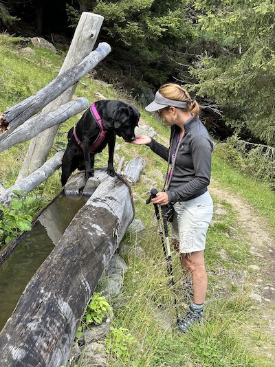 Swanneblomke's Labradors Lobke